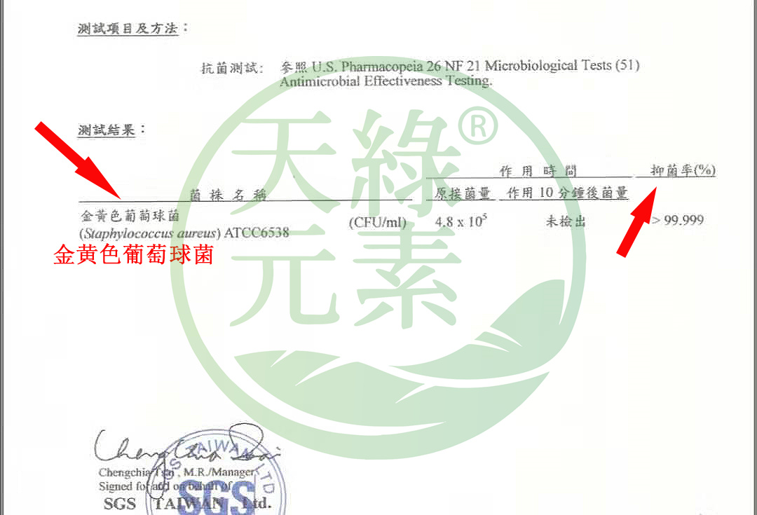 金黃色葡萄球菌.jpg