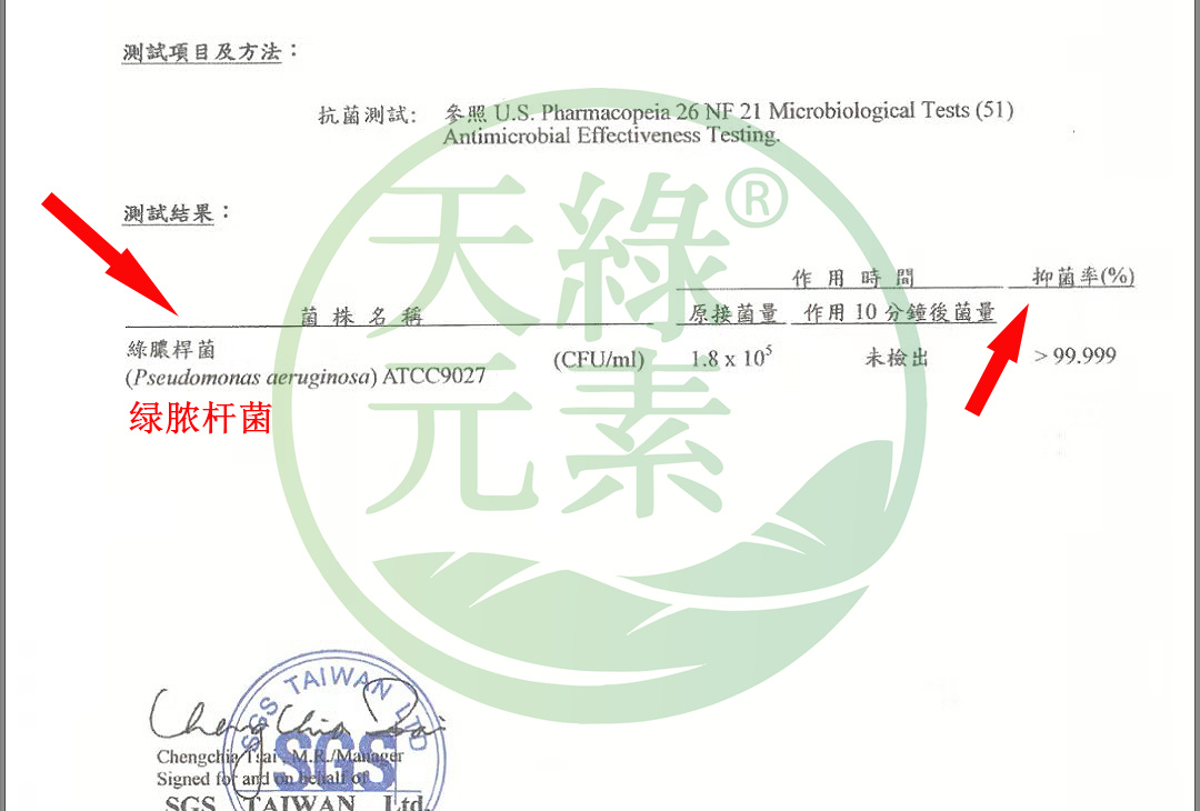綠膿桿菌.jpg