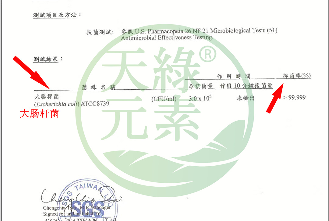 大腸桿菌.jpg