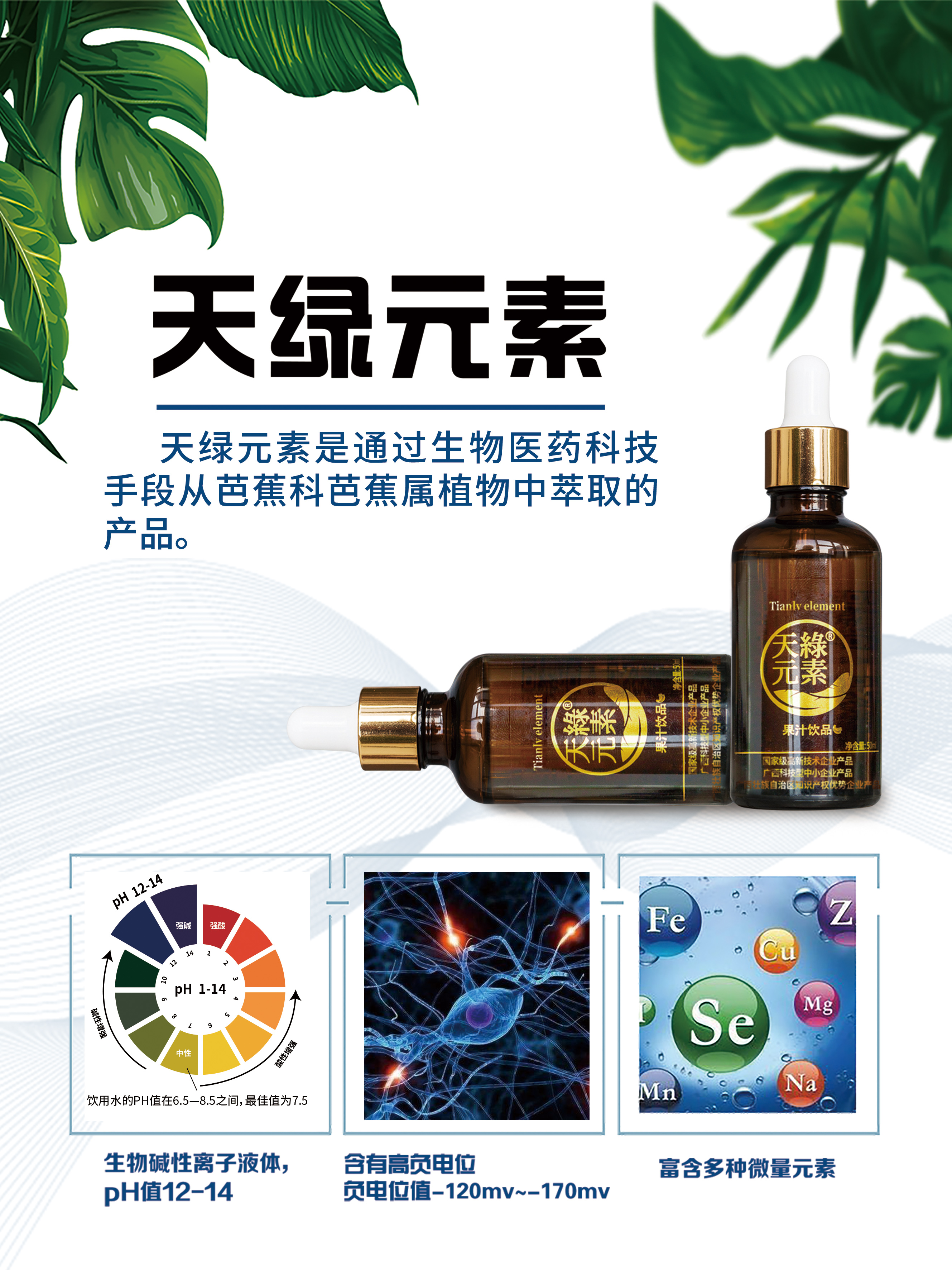 產(chǎn)品海報1-天綠元素45x60.jpg