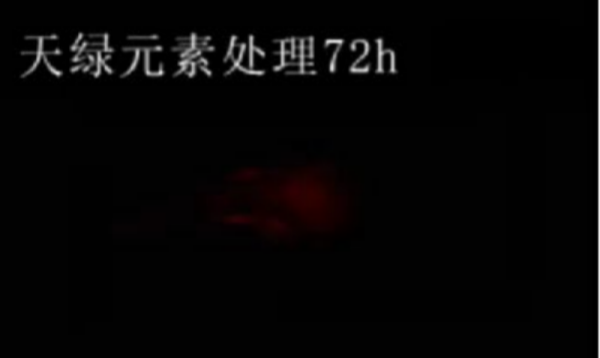 斑馬魚實驗天綠元素處理-72h.png