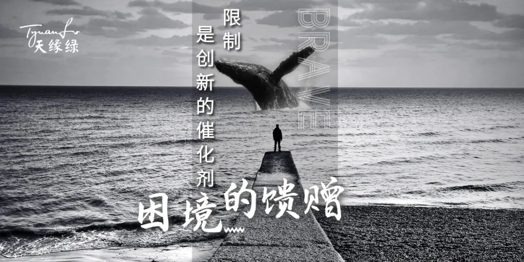 插圖4.jpg