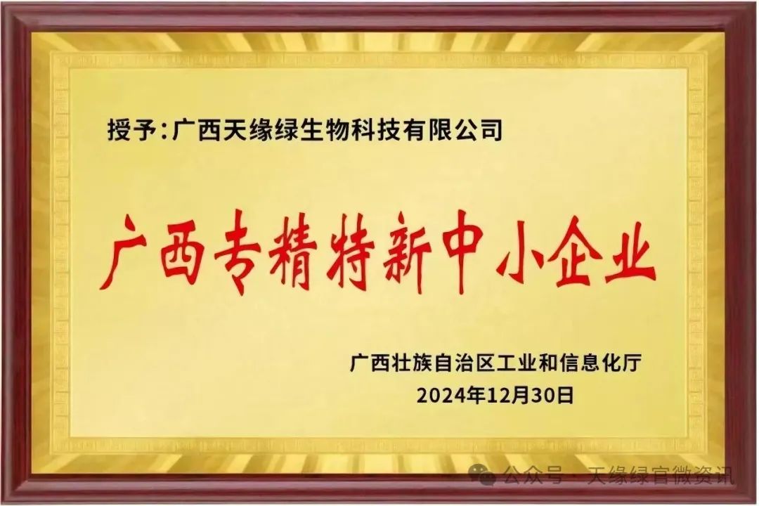 廣西專精特新中小企業-1.jpeg